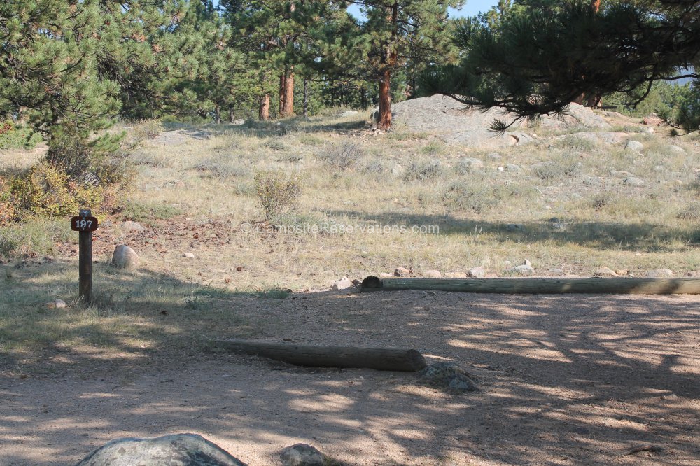 Campsite 197 in Moraine Park Campground at Rocky Mountain National Park